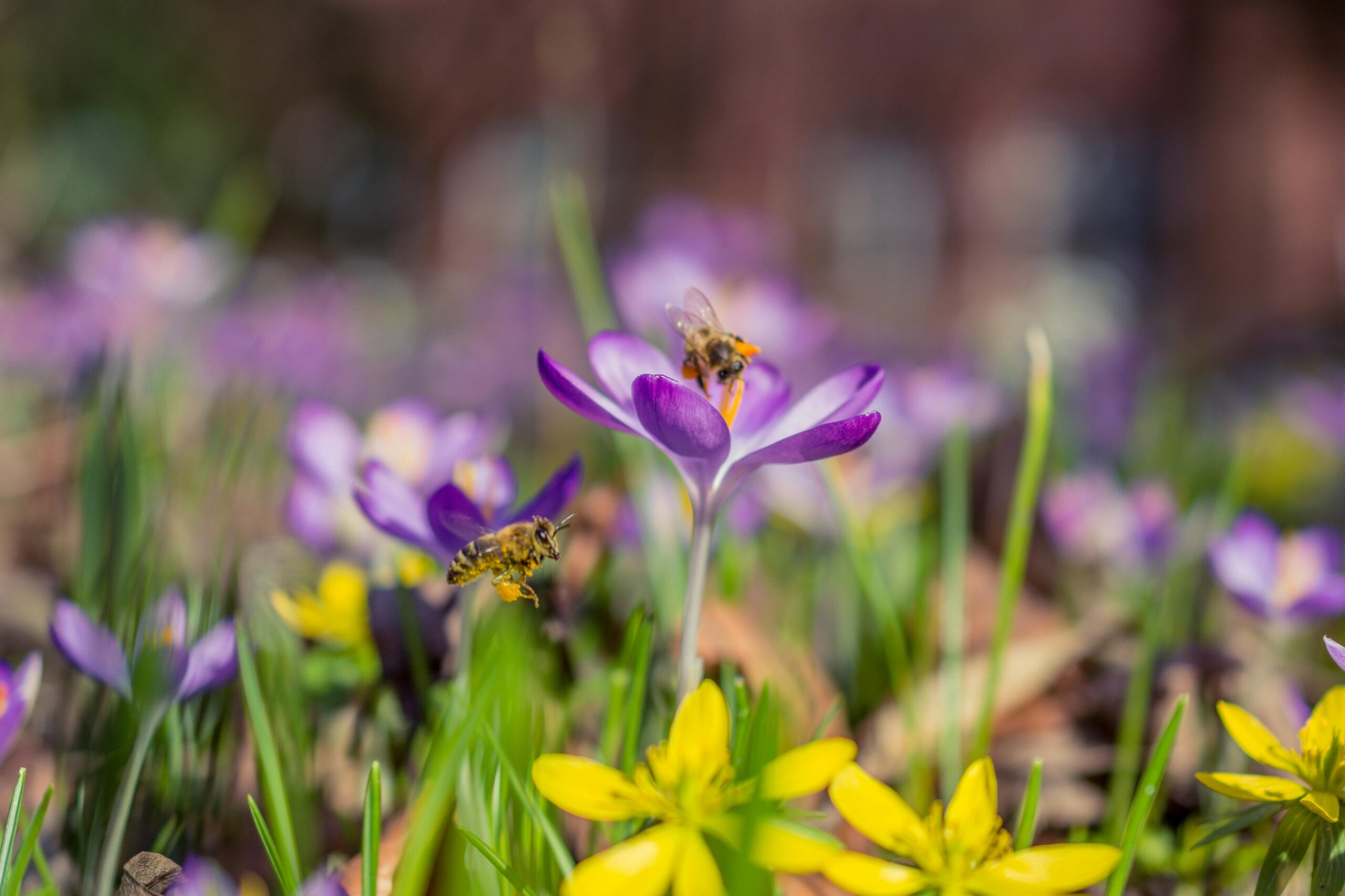Coping with Change: How to Navigate Life’s Transitions
